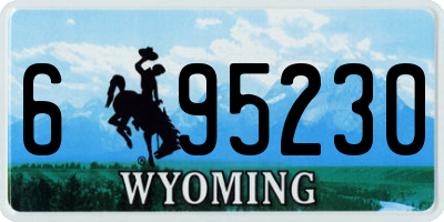 WY license plate 695230