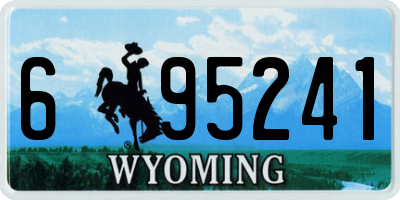 WY license plate 695241
