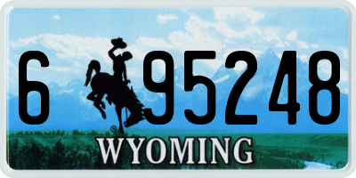 WY license plate 695248