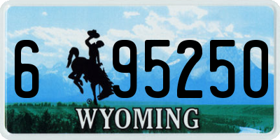 WY license plate 695250