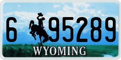 WY license plate 695289