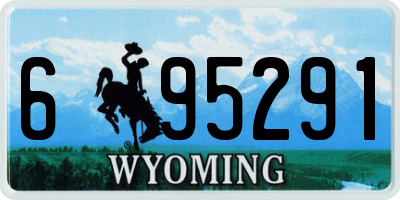 WY license plate 695291