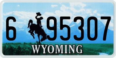 WY license plate 695307