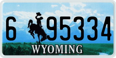 WY license plate 695334