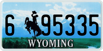 WY license plate 695335