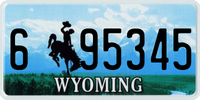 WY license plate 695345