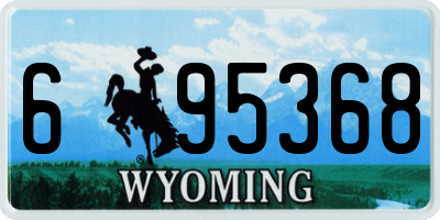 WY license plate 695368