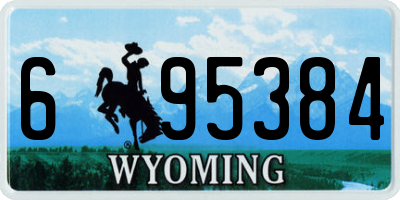WY license plate 695384