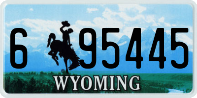 WY license plate 695445