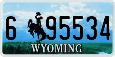 WY license plate 695534