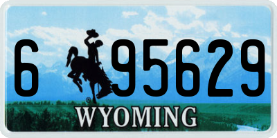 WY license plate 695629