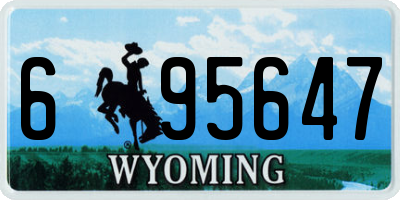 WY license plate 695647