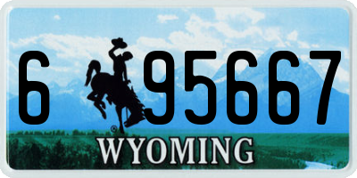 WY license plate 695667