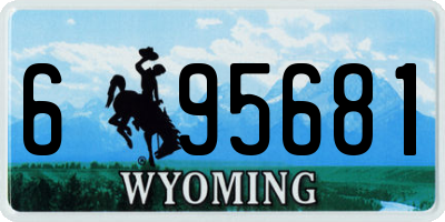 WY license plate 695681