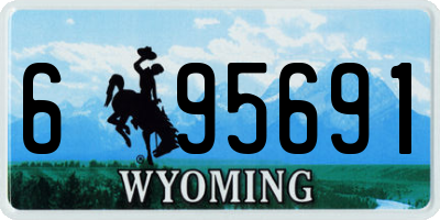 WY license plate 695691
