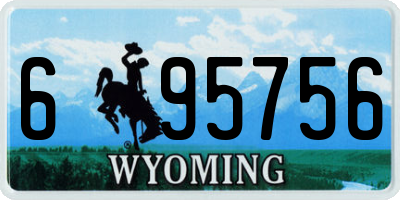 WY license plate 695756