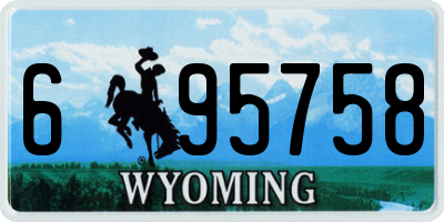 WY license plate 695758