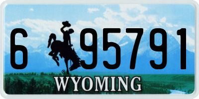 WY license plate 695791