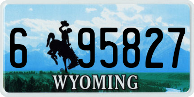 WY license plate 695827