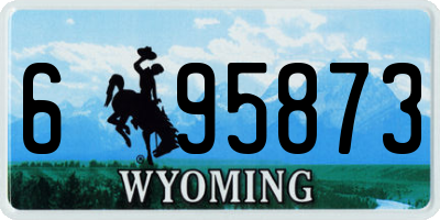 WY license plate 695873