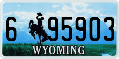 WY license plate 695903