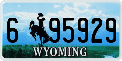 WY license plate 695929