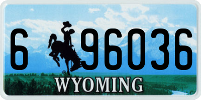 WY license plate 696036