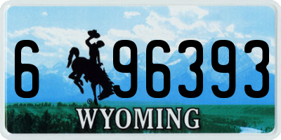 WY license plate 696393