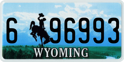 WY license plate 696993