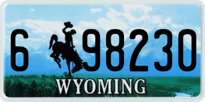 WY license plate 698230