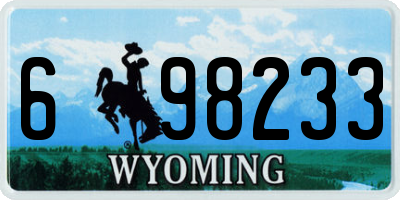 WY license plate 698233