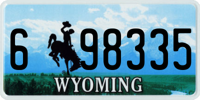 WY license plate 698335