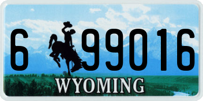 WY license plate 699016