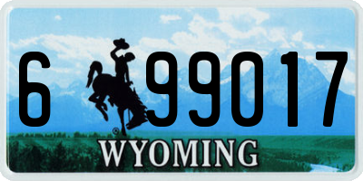 WY license plate 699017