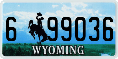 WY license plate 699036