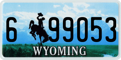 WY license plate 699053