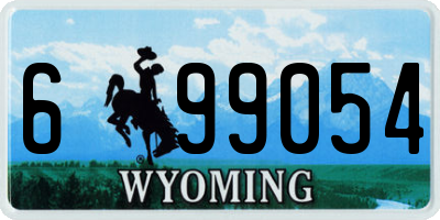 WY license plate 699054
