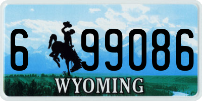 WY license plate 699086