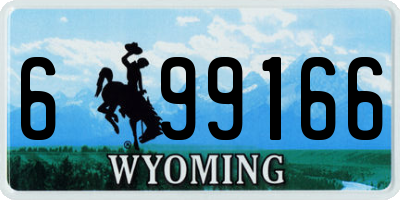 WY license plate 699166