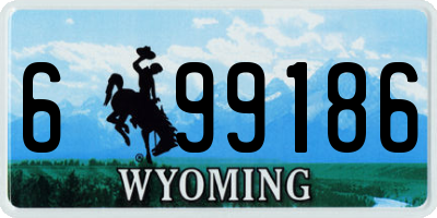 WY license plate 699186