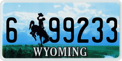WY license plate 699233