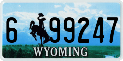 WY license plate 699247