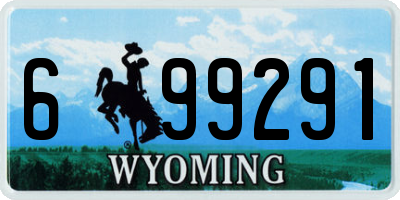 WY license plate 699291