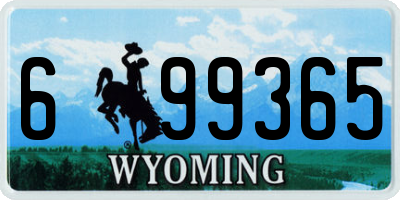 WY license plate 699365