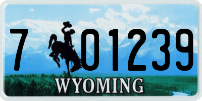 WY license plate 701239