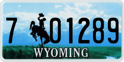 WY license plate 701289