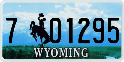 WY license plate 701295