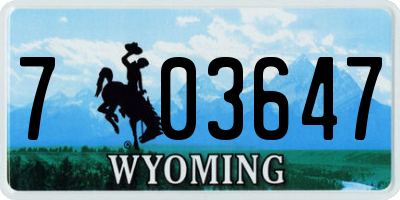 WY license plate 703647
