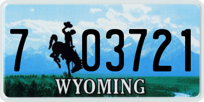 WY license plate 703721