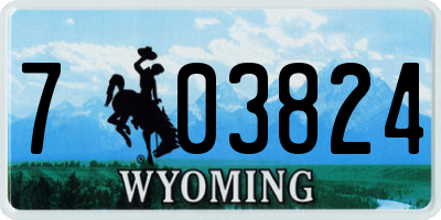 WY license plate 703824